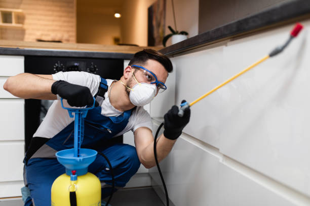 Best Residential Pest Control  in Chehalis, WA
