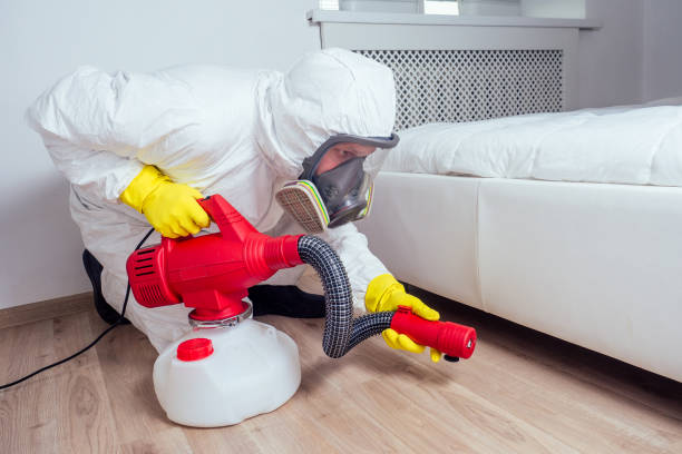 Best Pest Control Near Me in Chehalis, WA