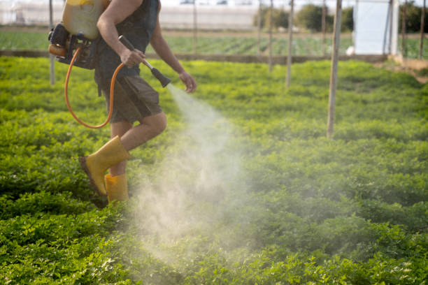 Best Best Pest Control Near Me  in Chehalis, WA