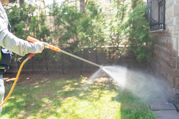 Best Best Pest Control Companies  in Chehalis, WA