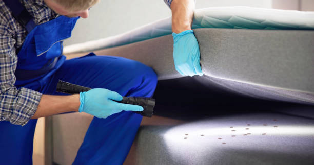 Best Affordable Pest Control Services  in Chehalis, WA