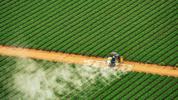 Pest Control Cost in Chehalis, WA