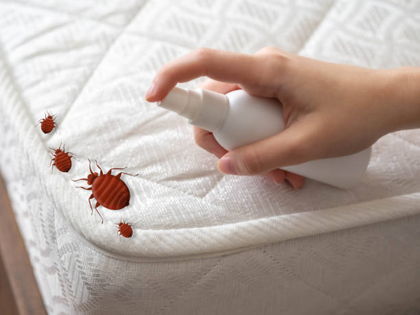 Best Flea Control Services  in Chehalis, WA